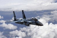 F-15C Aggressor Fine Art Print