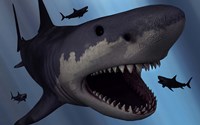 A Megalodon Shark Fine Art Print