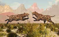 Sabre Tooth Tigers Fine Art Print