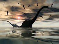 Diplodocus Dinosaurs Fine Art Print