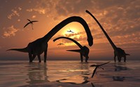 Omeisaurus Sauropod Dinosaurs Fine Art Print