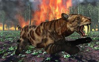 Saber Toothed Tiger Running from Fire Fine Art Print