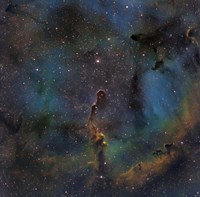 IC 1396, the Elephant Trunk Nebula Fine Art Print