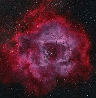 The Rosette Nebula Fine Art Print