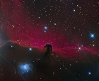 The Horsehead Nebula by Michael Miller - various sizes