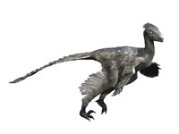 Troodon Dinosaur Fine Art Print