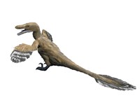 Velociraptor Mongoliensis by Nobumichi Tamura - various sizes, FulcrumGallery.com brand