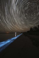 Star Trails over Bioluminescence Fine Art Print