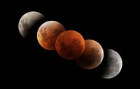 Composite of Lunar Eclipse Fine Art Print