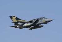 A Panavia Tornado GR4 of the Royal Air Force Fine Art Print