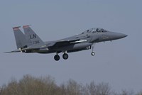 US Air Force F-15E Strike Eagle Fine Art Print