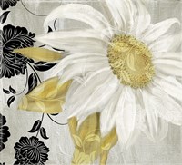 Sunroom II Framed Print