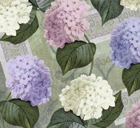Hortensia Soft Green Framed Print