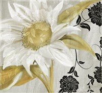 Sunroom I Fine Art Print