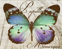 Papillon I Fine Art Print