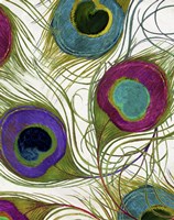 Peacock Feathers I Fine Art Print