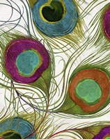 Peacock Feathers II Fine Art Print