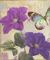 Amethyste Fine Art Print