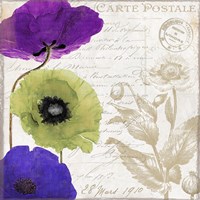 Love Notes II Fine Art Print