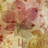 October Pastel I Fine Art Print