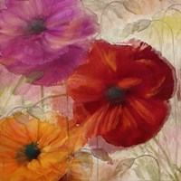 Penchant For Poppies I Fine Art Print