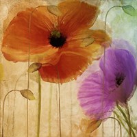 Penchant For Poppies II Fine Art Print