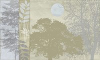 Tree Language II Fine Art Print