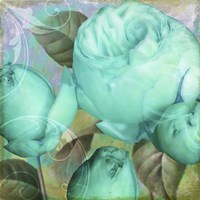 Aqua Rose II Fine Art Print
