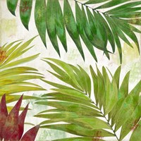 Brasilia I Fine Art Print