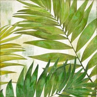 Brasilia II Fine Art Print