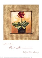 Red Geraniums by Maria Eva - 19" x 26"