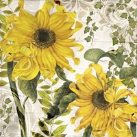 Carina I Fine Art Print