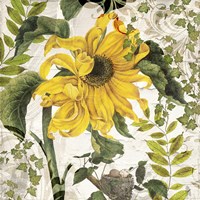 Carina II Fine Art Print