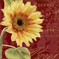 Ete IV Fine Art Print