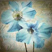 Himalayan Blue I Fine Art Print