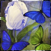 Morphos One Fine Art Print