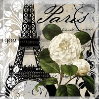Paris Blanc I Framed Print