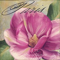 Pink Magnolia I Fine Art Print