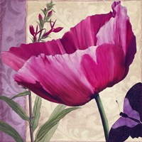 Pink Poppy I Fine Art Print