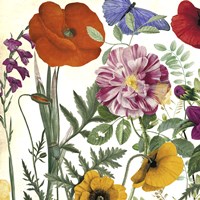 Printemps II Framed Print