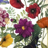 Printemps III Framed Print