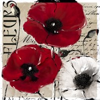 Rouge One Fine Art Print