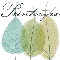 Seasons I Fine Art Print