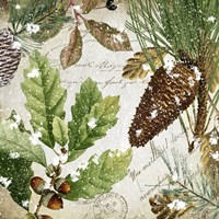 Snow Cones II Framed Print