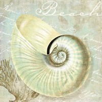 Turquoise Beach IV Fine Art Print