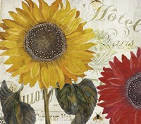 Sundresses I Fine Art Print