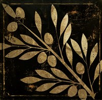 Bellissima I Fine Art Print