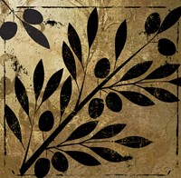 Bellissima II Fine Art Print