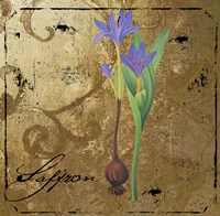 Black Gold Herbs II Fine Art Print