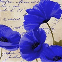 Coquelicots Bleues I Fine Art Print